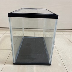 決まりましたの画像