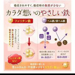 フェリチン鉄のめぐり フェリチン鉄 1日分の鉄100%栄養機能食品30日分の画像