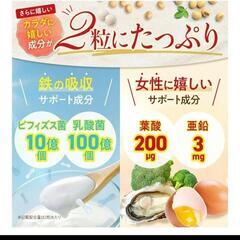 フェリチン鉄のめぐり フェリチン鉄 1日分の鉄100%栄養機能食品30日分の画像
