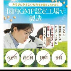 フェリチン鉄のめぐり フェリチン鉄 1日分の鉄100%栄養機能食品30日分の画像