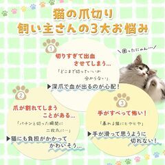 【2点セット】猫 爪切り 猫ブラシ 小動物 お手入れ 毛 コンパクトサイズ 軽量の画像