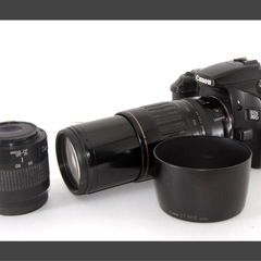 Canon キャノン EOS 30D 純正＆望遠Wズームレンズセットの画像