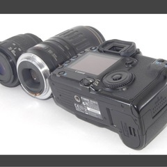 Canon キャノン EOS 30D 純正＆望遠Wズームレンズセットの画像