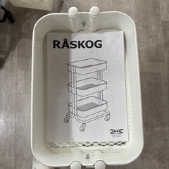 決定の画像
