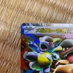 メガガルーラRR24日にフリマに出しますの画像