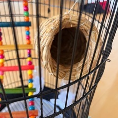 鳥カゴの画像