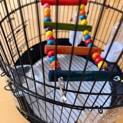 鳥カゴの画像