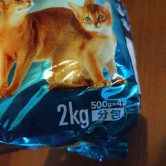 猫　餌　ごはん　ピュリナワン　5.5キロの画像