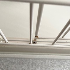 ペットケージ　サークル　屋根　トレー付きの画像