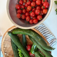 今朝取れたミニトマト、きゅうり
