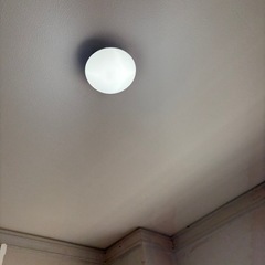 Panasonic LEDライトの画像