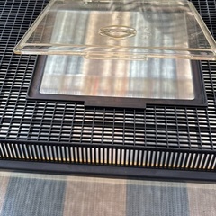 水槽(55×31×高さ36)※8/10までの画像