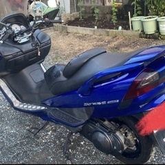 SUZUKIスカイウェーブ250タイプSの画像