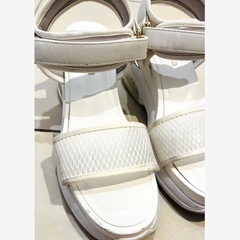 プラスダイアナ スポーツサンダル 24cmの画像