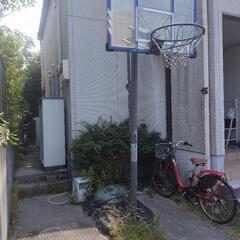 バスケットゴール 本格モデル 家庭用 自立式 屋外 ライフタイム 