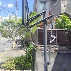 バスケットゴール 本格モデル 家庭用 自立式 屋外 ライフタイム の画像