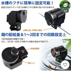 【お取引中】自動給餌器 金魚 熱帯魚の画像