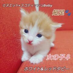 見学日時のご案内♪