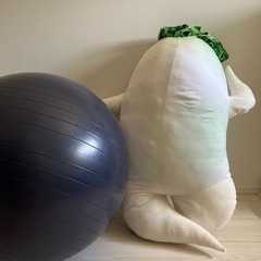 巨大ダイコンぬいぐるみ　抱き枕の画像