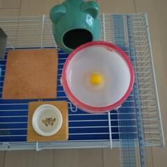 小動物ケージ　他　飼育セット　ハムスターなどにの画像