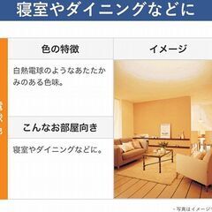 パナソニックFCL30EL/28M 2本入パルックプレミア20000蛍光灯 丸形・スタータ形 30形 電球色の画像