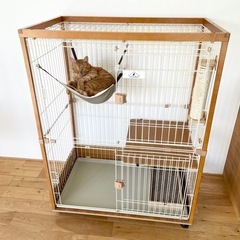 猫　ゲージ　大型の画像