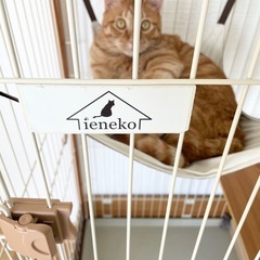 猫　ゲージ　大型の画像