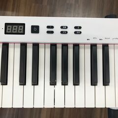【ジャングルジャングルサカイ石津店】ニコマク NikoMaku 電子ピアノ 88鍵盤 SWAN-S 堺市 西区 堺区 石津の画像