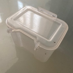 釣り　餌箱　半透明の画像