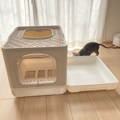 【お取り引き者決定❣️】🐈🐾猫トイレ しかく◇の画像