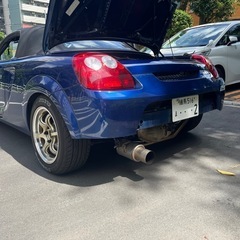 トヨタMR-S 2002年 SMTの画像