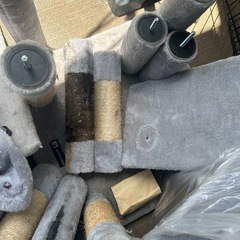 キャットタワー中古　無料　取りに来てくれる方の画像