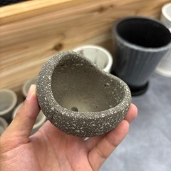 植木鉢 2.5号 3号 盆栽 山野草 受け皿付きの画像