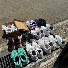 バッシュの画像