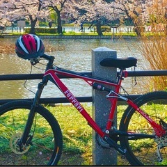 FERRARI マウンテンバイク(自転車)の中古が安い！激安で譲ります