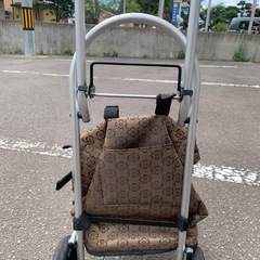 美原店 ショッピングカート 花柄　買い物 の画像