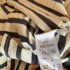 襟付きTシャツの画像