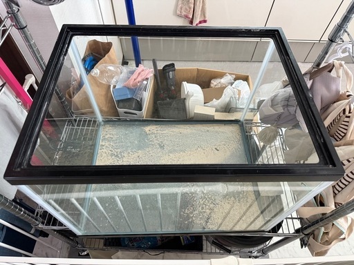 水槽 セット 海水魚 サンゴ イソギンチャク