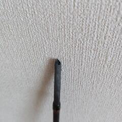 ロックフィッシュロッド 桜月の画像