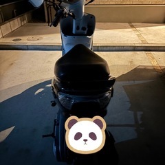 ZRエボリューション　原付の画像