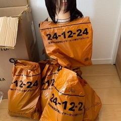 カットウィッグ
の画像
