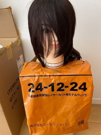 【送料込】中古カットウィッグ＋未使用品１台 MiCOLカットウィッグ No.301 Wonder hairの通販・卸