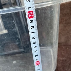 虫　飼育ケース　虫籠の画像