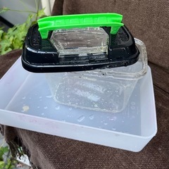 虫　飼育ケース　虫籠の画像