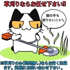 草刈り やります。