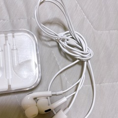 Type-C イヤホン 黒の画像