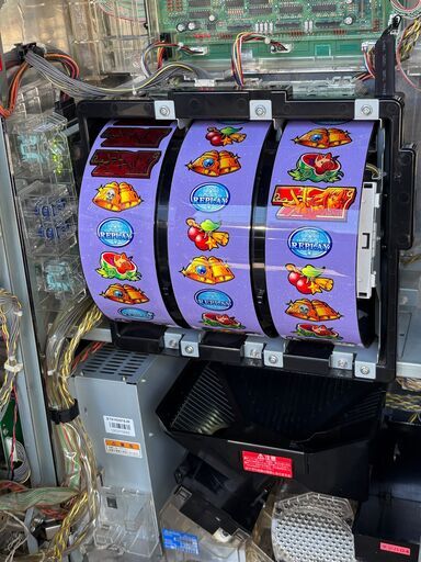 マジカルハロウィン4 実機　オートプレイ付き確認中 楽天市場】【本州送料無料】 マジカルハロウィン8 【データ