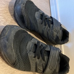 【瞬足25.5cm】インソール新品】の画像