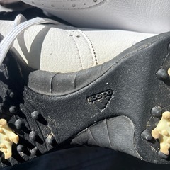 adidas ホワイト　ゴルフシューズの画像