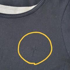 👚レディースシャツの画像